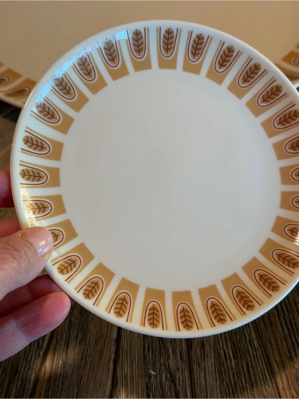 Taylor Smith Taylorton Wild Rice Atomic Serving Platter + 6 Bread Plates MCM